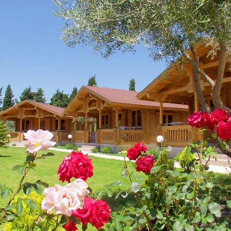 Sandys Studios Apartments And Log Villas Pszalídi Kültér fotó